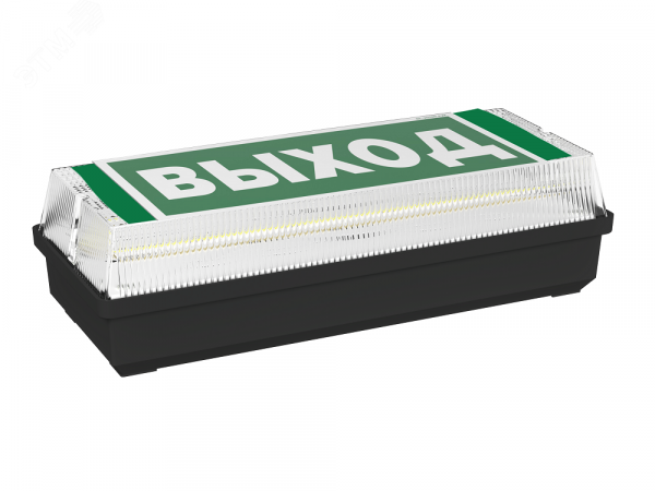 Световой указатель BS-UNIVERSAL-51-S1-INEXI2 5000K Black