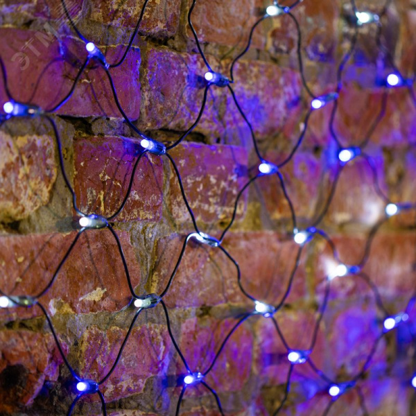 Гирлянда Сеть 2х1,5 м, черный ПВХ, 288 LED белые/синие