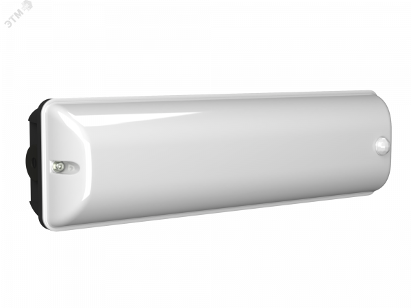 Аварийный светильник BS-METEOR-10-L5-LED 3000K DD01 Black