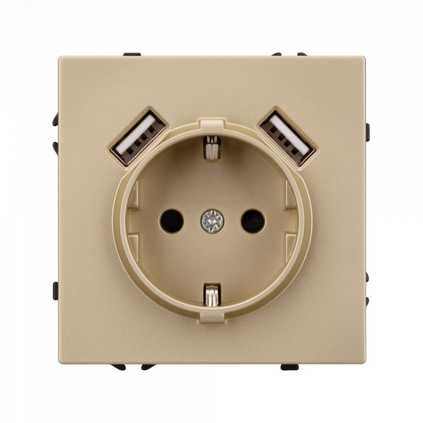 Механизм розетки с USB зарядкой SCT-NOBE-MUAA-SFPL-GD 230V, 16A, Золото светлое, 3 поста