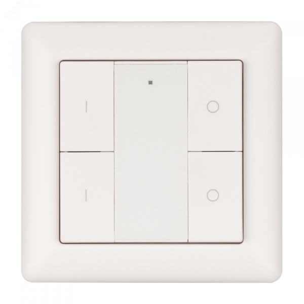 Панель DALI-223-2G-DIM-IN BUS IARL