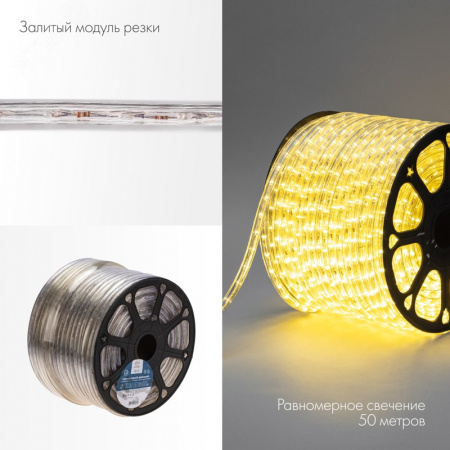 Дюралайт LED, постоянное свечение 2W – тёплый белый, 36 LED/м, 100 м