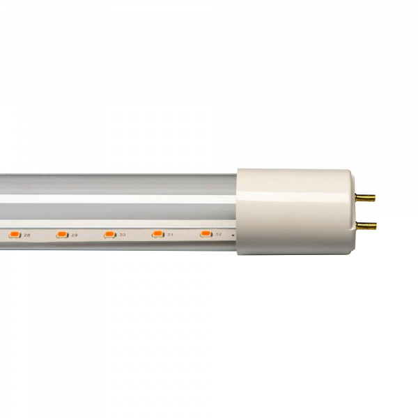 Лампа светодиодная для растений 9W LED-T8-9W/SPSB/G13/CL PLP30WH Форма T8, прозрачная. Спектр для рассады и цветения.