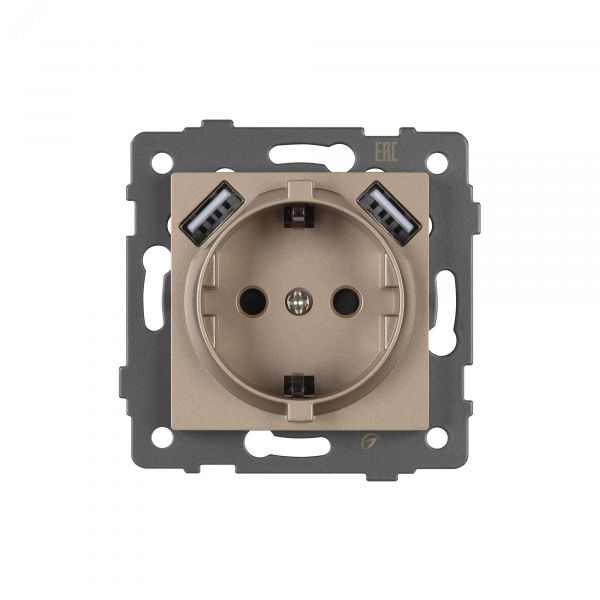 Механизм розетки с USB зарядкой SCT-MUAA-PL-GD-V 250V, 16A