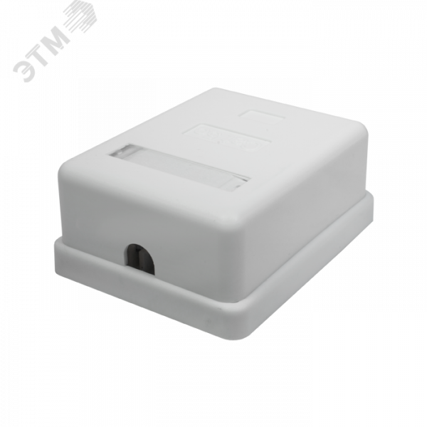 Розетка компьютерная 8P8C (RJ-45) UTP Cat5e 1 порт (DIY упак.)