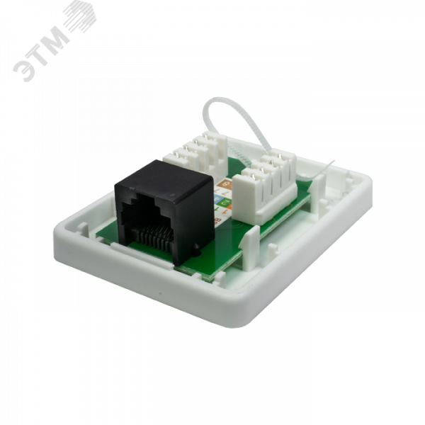Розетка компьютерная 8P8C (RJ-45) UTP Cat5e 1 порт (DIY упак.)