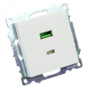 Розетка 2-местная USB+TypeC (механизм) 250В 3А max 20W серия Катрин белый STEKKER