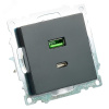 Розетка 2-местная USB+TypeC (механизм) 250В 3А max 20W серия Катрин черный STEKKER