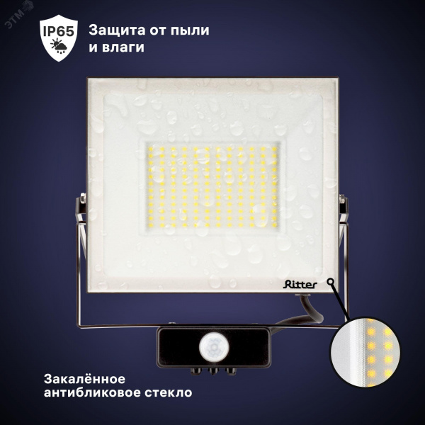 Прожектор светодиодный, PROFI, 230В, 100 Вт, 6500К, 10000 Лм, IP65, с датчиком движения, гарантия 5 лет, черный