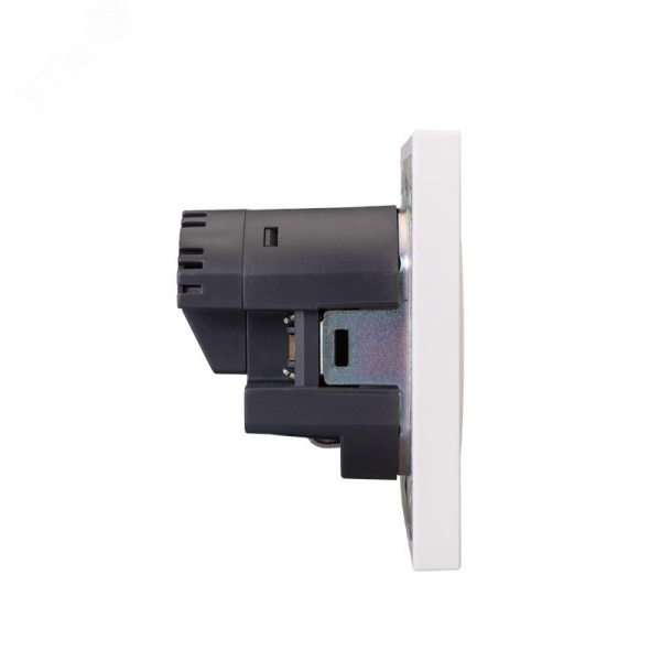 Розетка STRONG одинарная с/з скрытой установки з/ш 16А с USB A+C быстрой зарядки 5В/3А механизм жемчуг