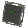 Розетка 2-местная USB+TypeC (механизм) 250В 3А max 20W серия Катрин графит STEKKER
