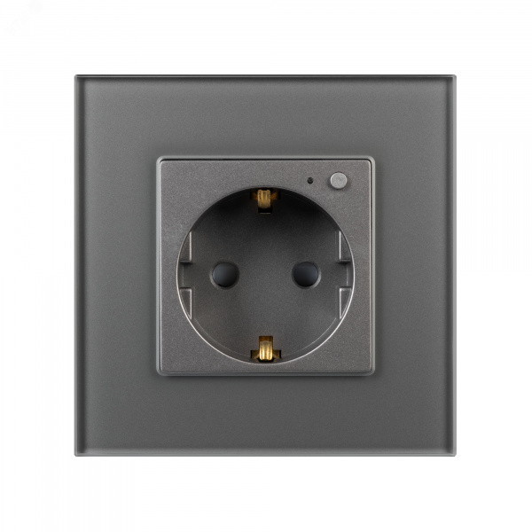 Розетка электрическая с Zigbee управлением SCT-OMALI-EUZB1-PL-GR 240V, 16A, Zigbee