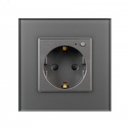 Розетка электрическая с Zigbee управлением SCT-OMALI-EUZB1-PL-GR 240V, 16A, Zigbee