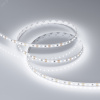 Лента светодиодная 9,6 Вт/м 12В IP20 6000K 120LED/м RT/RTW-A120-8-11mm SMD 2835 5 м