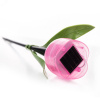 Светильник светодиодный садовый на солнечной батарее СОЛАР USL-C-451/PT305 PINK TULIP