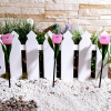 Светильник светодиодный садовый на солнечной батарее СОЛАР USL-C-451/PT305 PINK TULIP