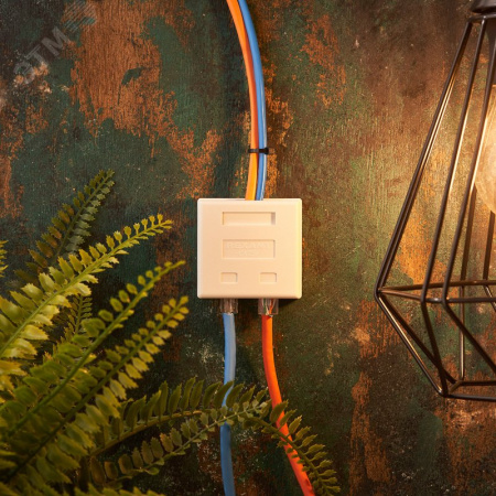 Розетка комбинированная внешняя. RJ-45(8P-8C) + RJ-11(6P-4C). UTP неэкраниров,