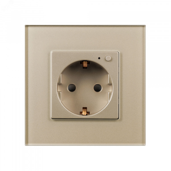 Розетка электрическая с Zigbee управлением SCT-OMALI-EUZB1-PL-GD 240V, 16A, Zigbee