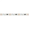 Лента светодиодная 12 Вт/м 12В IP20 RGB 60LED/м SPI-B60-10-12mm SMD 5060 5 м