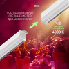 Светильник для растений, фитолампа светодиодная линейная FITO-18W-PL-LINE 573-GR красно-синего спектра 18 Вт Т5