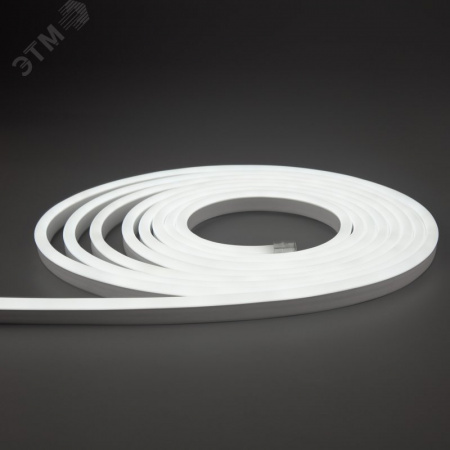 Неон гибкий LED SMD 8х16 мм, односторонний, белый, 120 LED/м, 5 м