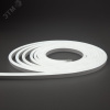 Неон гибкий LED SMD 8х16 мм, односторонний, белый, 120 LED/м, 5 м