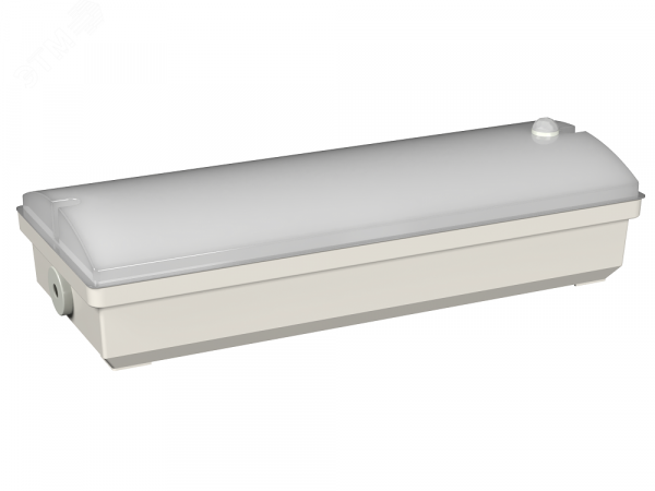 Аварийный светильник BS-METEORIT-10-L5-LED 3000K DD01