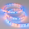Лента светодиодная 14,4 Вт/м 12В IP66 RGB 60LED/м SPI-B60-10-12mm SMD 5060 5 м