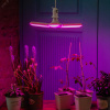 LED-P65-24W/SPSB/E27/FR/P3 PLP32WH Лампа светодиодная для растений. Форма P лепестковая, матовая. Спектр для рассады и цветения. Картон. ТМ