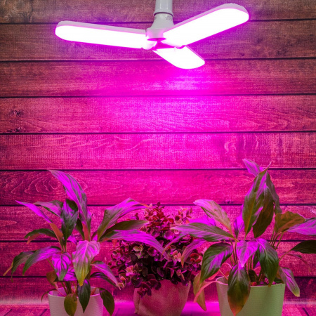 LED-P65-24W/SPSB/E27/FR/P3 PLP32WH Лампа светодиодная для растений. Форма P лепестковая, матовая. Спектр для рассады и цветения. Картон. ТМ