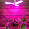 LED-P65-24W/SPSB/E27/FR/P3 PLP32WH Лампа светодиодная для растений. Форма P лепестковая, матовая. Спектр для рассады и цветения. Картон. ТМ