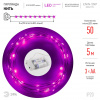 Гирлянда LED Нить 5 м сиреневый свет, АА ENIN -5NP