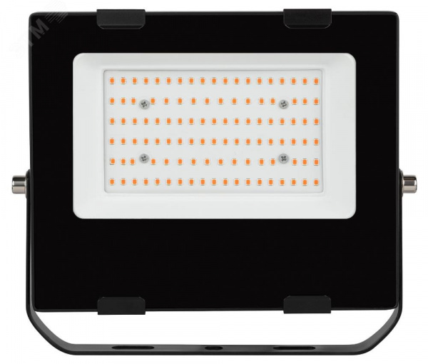Прожектор красно-синего спектра FITO-50W-RB-LED