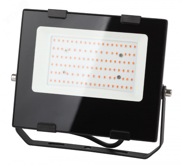 Прожектор красно-синего спектра FITO-50W-RB-LED