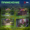 Светильник уличный Огоньки на солнечной батарее садовый высота 70 см 6 LED ERASF23-11 ЭРА